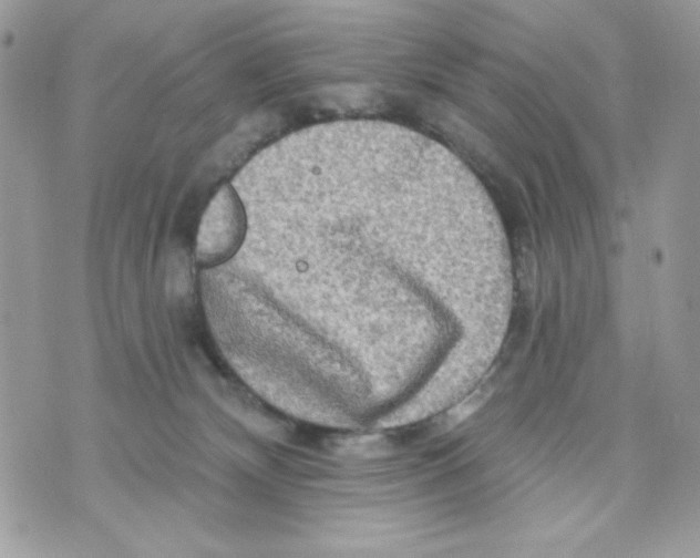 X0000070420132200607072344