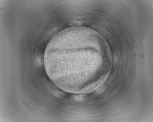 X0000070420134200607072344