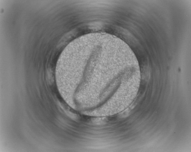 X0000070420136200607072344