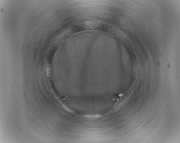 X0000070420137200607072344