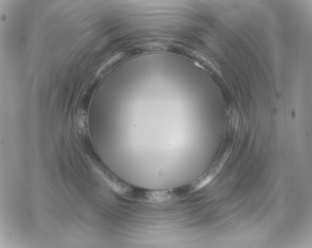 X0000070420141200607072344