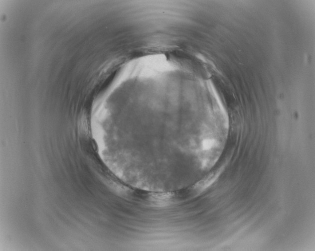 X0000070420143200607072344