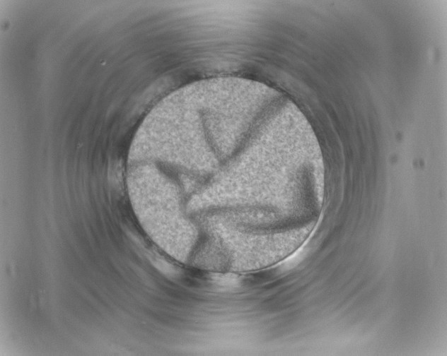 X0000070420144200607072344