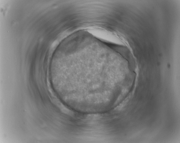 X0000070420145200607072343