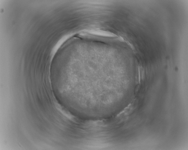 X0000070420147200607072343