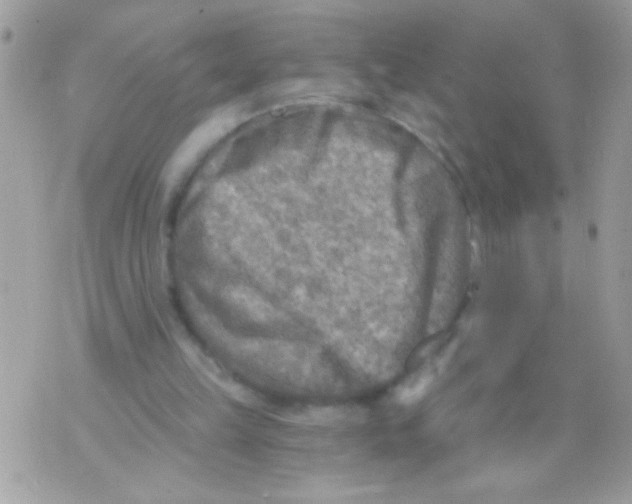 X0000070420149200607072343