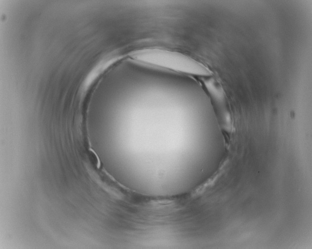 X0000070420150200607072343