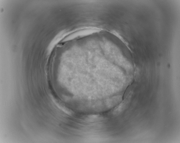 X0000070420151200607072343