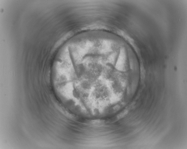 X0000070420153200607072343