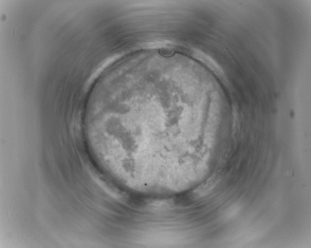 X0000070420155200607072343