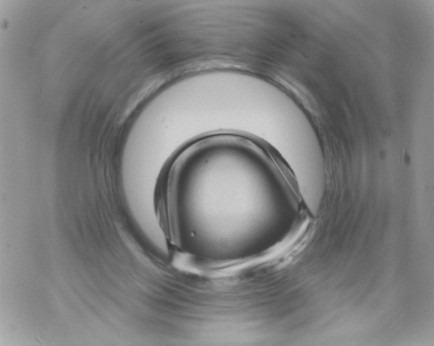 X0000070420158200607072343