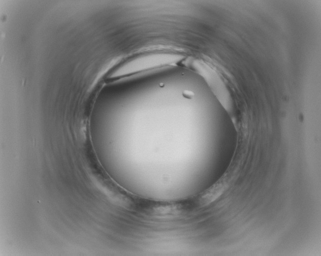 X0000070420160200607072343