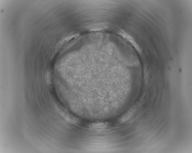 X0000070420161200607072343