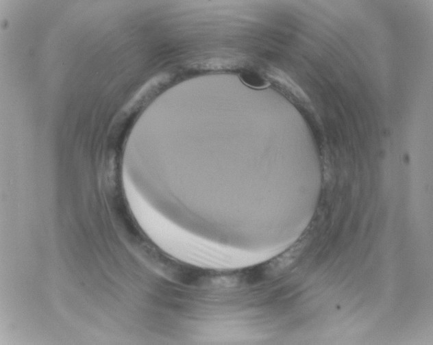 X0000070420163200607072343