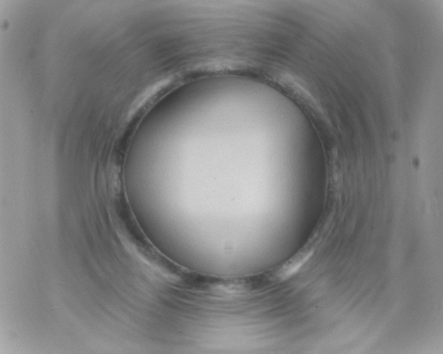 X0000070420164200607072343