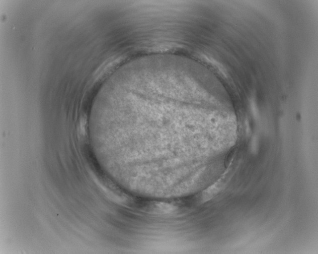 X0000070420166200607072343