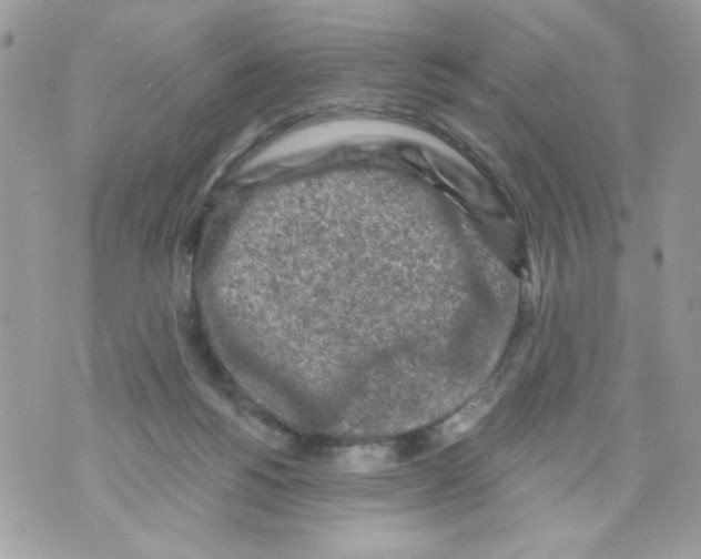 X0000070420168200607072343