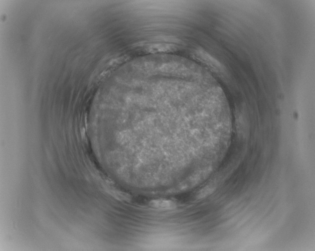 X0000070420169200607072343