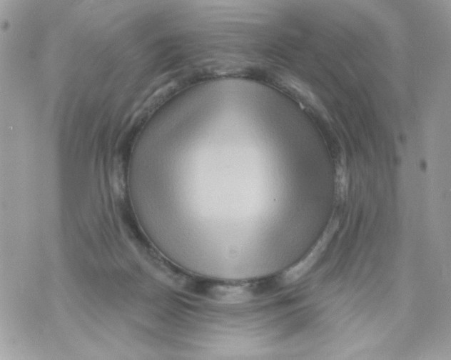 X0000070420170200607072343