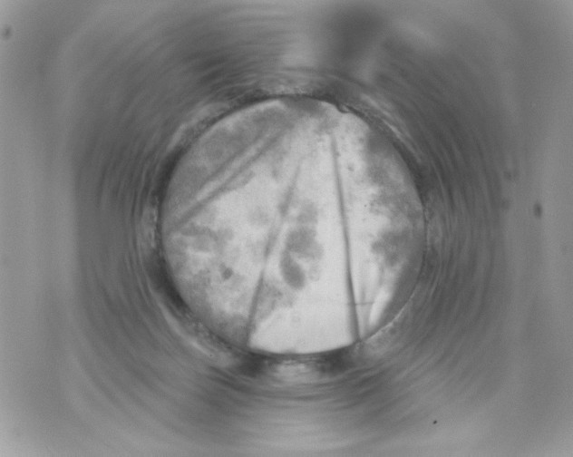 X0000070420171200607072343