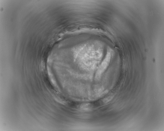 X0000070420173200607072343