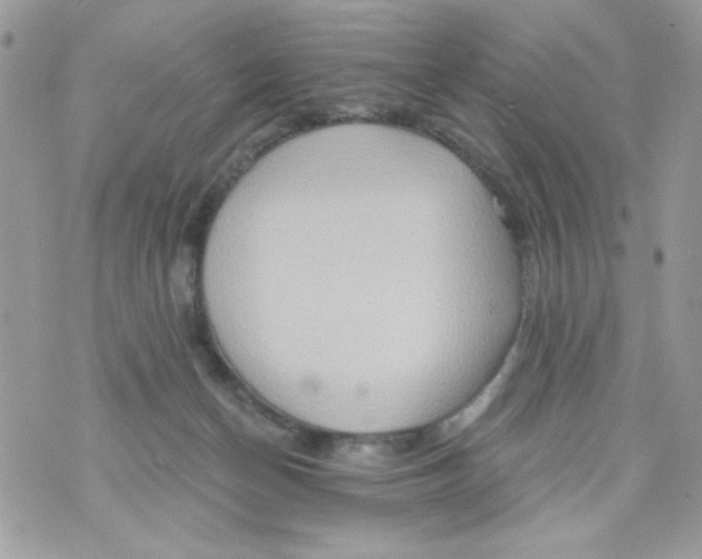 X0000070420174200607072343