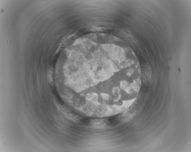 X0000070420175200607072343