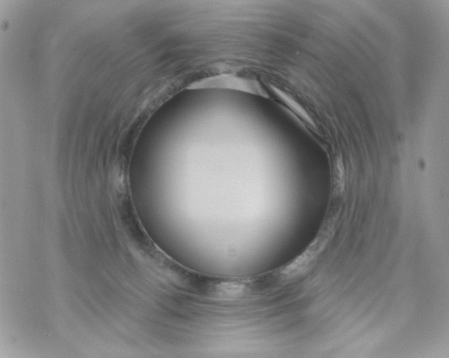 X0000070420176200607072343