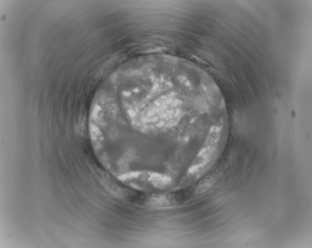 X0000070420177200607072343