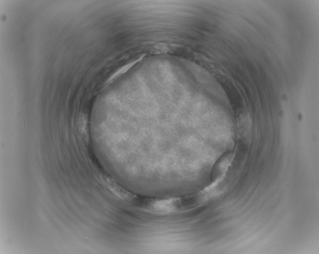 X0000070420178200607072343