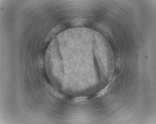 X0000070420179200607072343