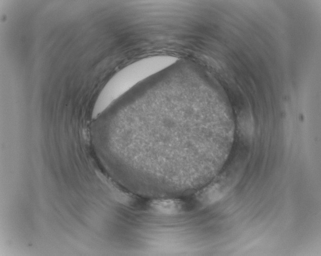 X0000070420181200607072343