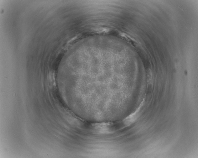 X0000070420182200607072343