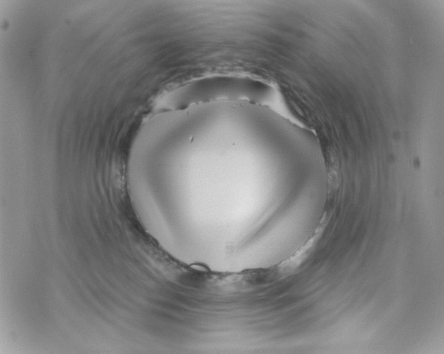 X0000070420186200607072343