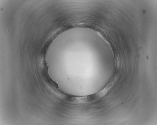 X0000070420188200607072343