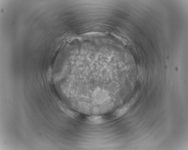 X0000070420189200607072343