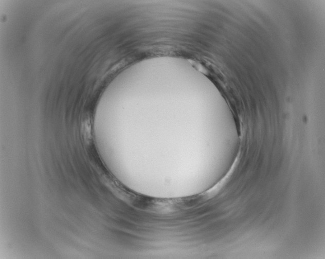 X0000070420190200607072343