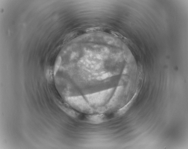 X0000070420191200607072344