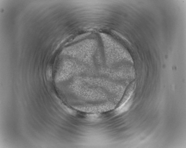 X0000070420192200607072344