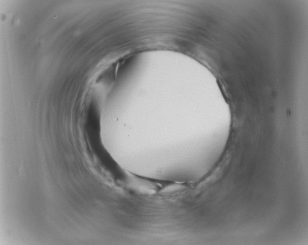 X0000070420193200607072343