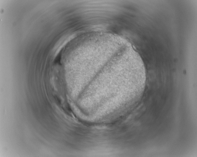 X0000070420194200607072343