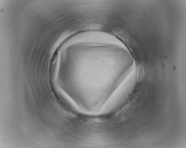 X0000070420195200607072343