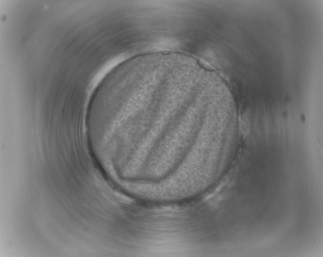 X0000070420196200607072343