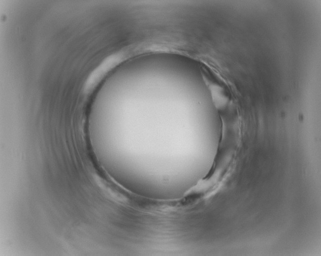 X0000070420197200607072343