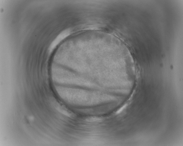 X0000070420198200607072343