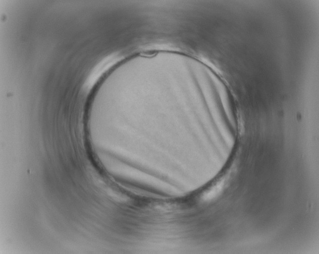 X0000070420199200607072343