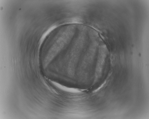 X0000070420200200607072343