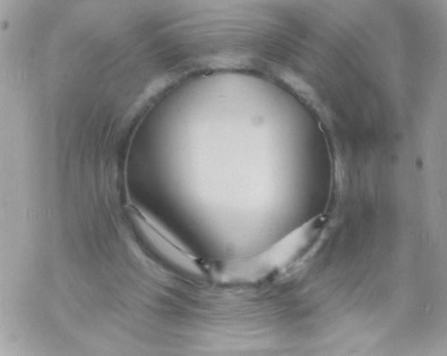 X0000070420201200607072343