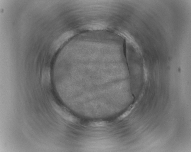 X0000070420202200607072343