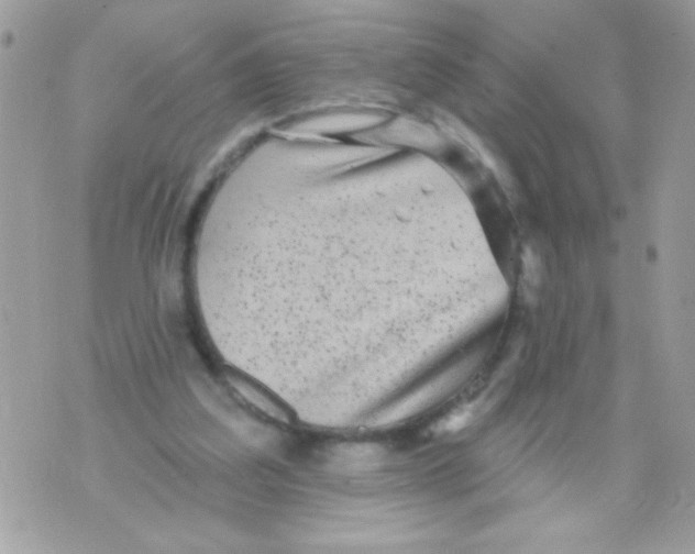 X0000070420203200607072343